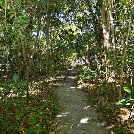 Villa Frangipani Port Douglas Buitenkant foto