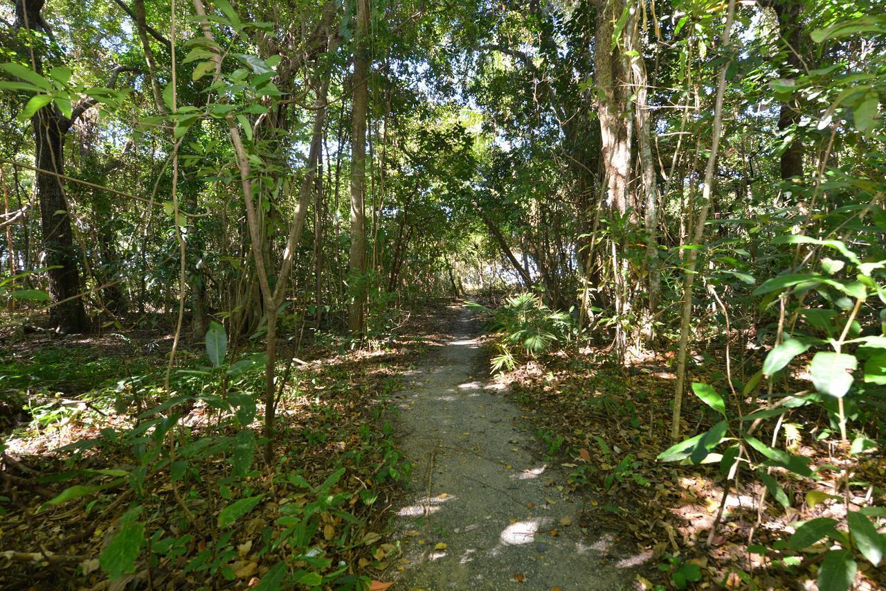 Villa Frangipani Port Douglas Buitenkant foto